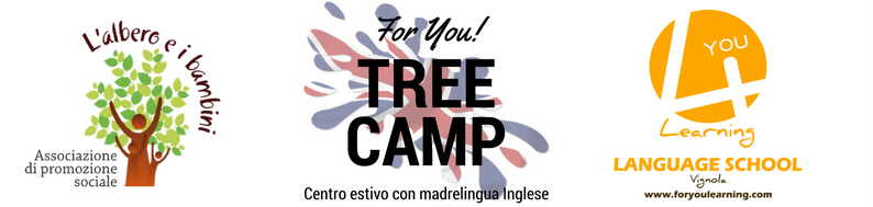 Tree English camp 4You
